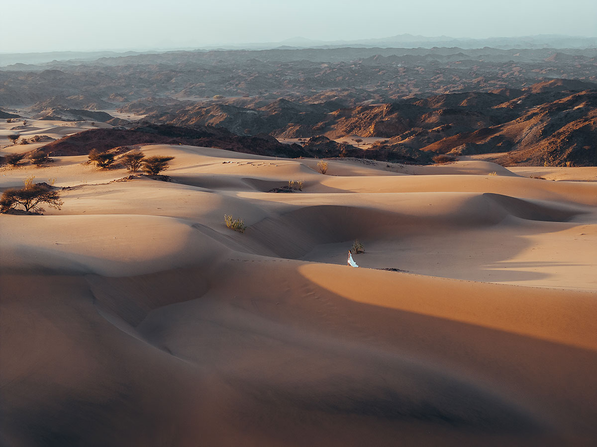 Overview of the desert